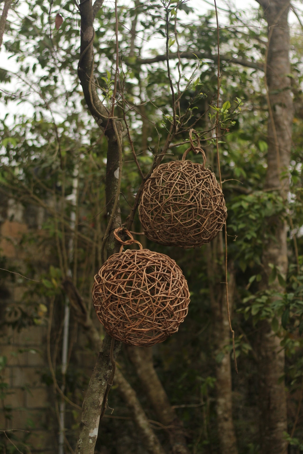 Bejuco Lamp shade AAK