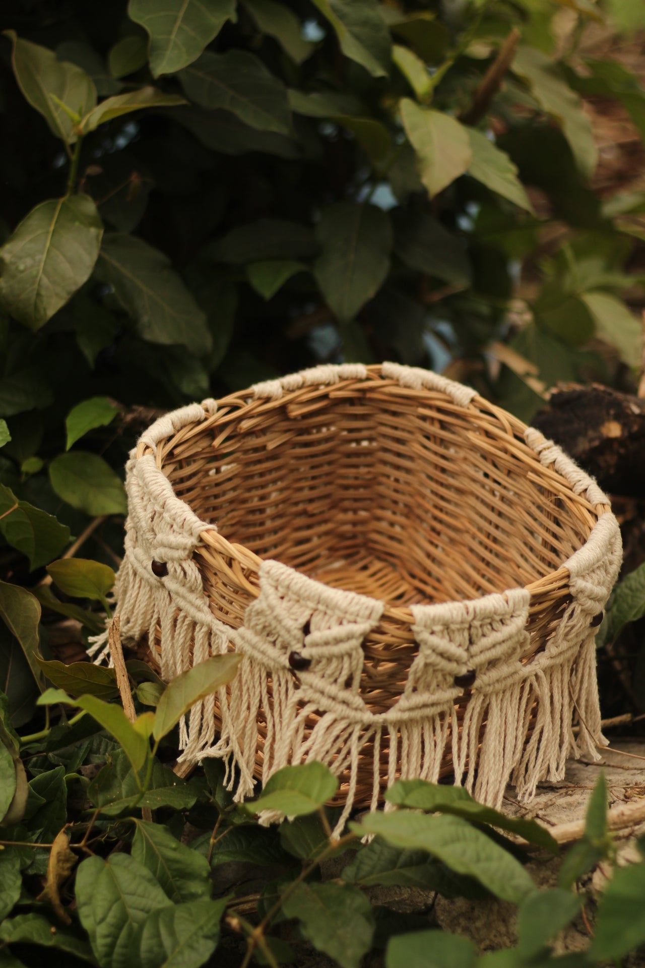 Smaller basquet with macrame JATS