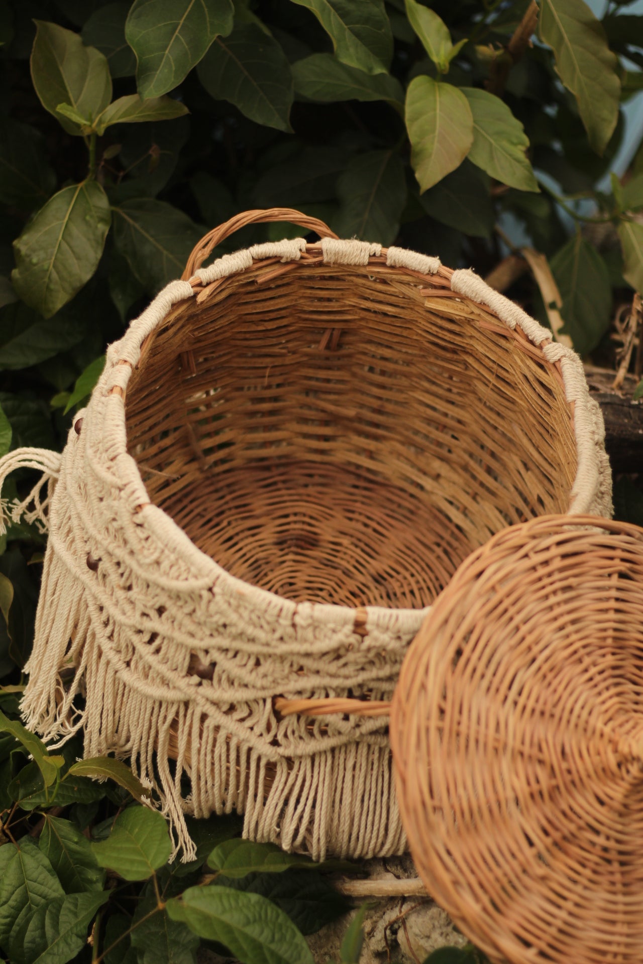 Round basket with Macrame XAAK